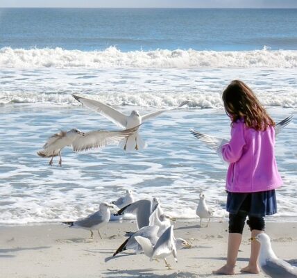 Balancing Screen Time with Outdoor Play